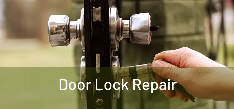  Door Lock Repair 