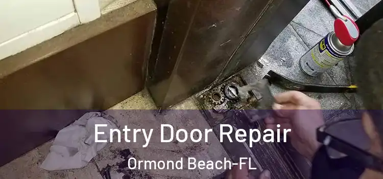  Entry Door Repair Ormond Beach-FL