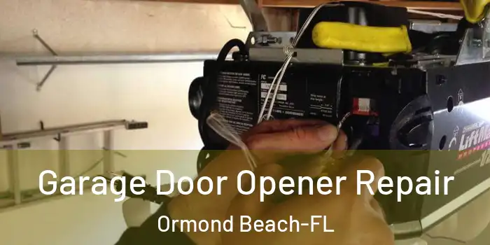  Garage Door Opener Repair Ormond Beach-FL