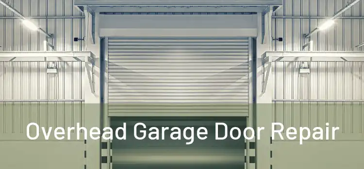  Overhead Garage Door Repair 